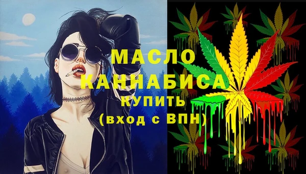индика Абинск