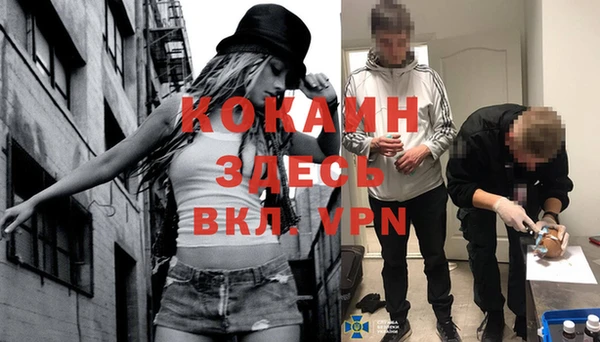 индика Абинск