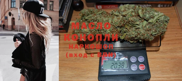 индика Абинск