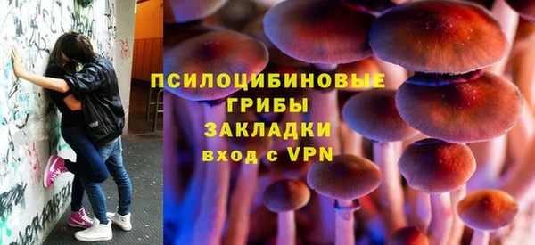 круглые Абаза